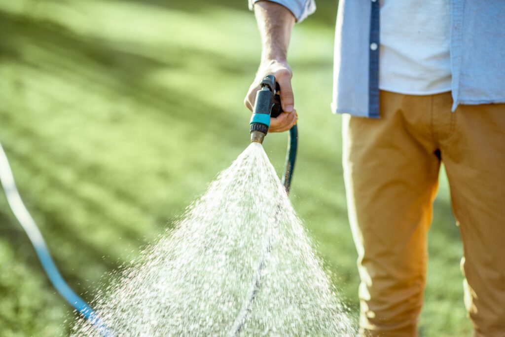 Best Time For Watering Your Lawn