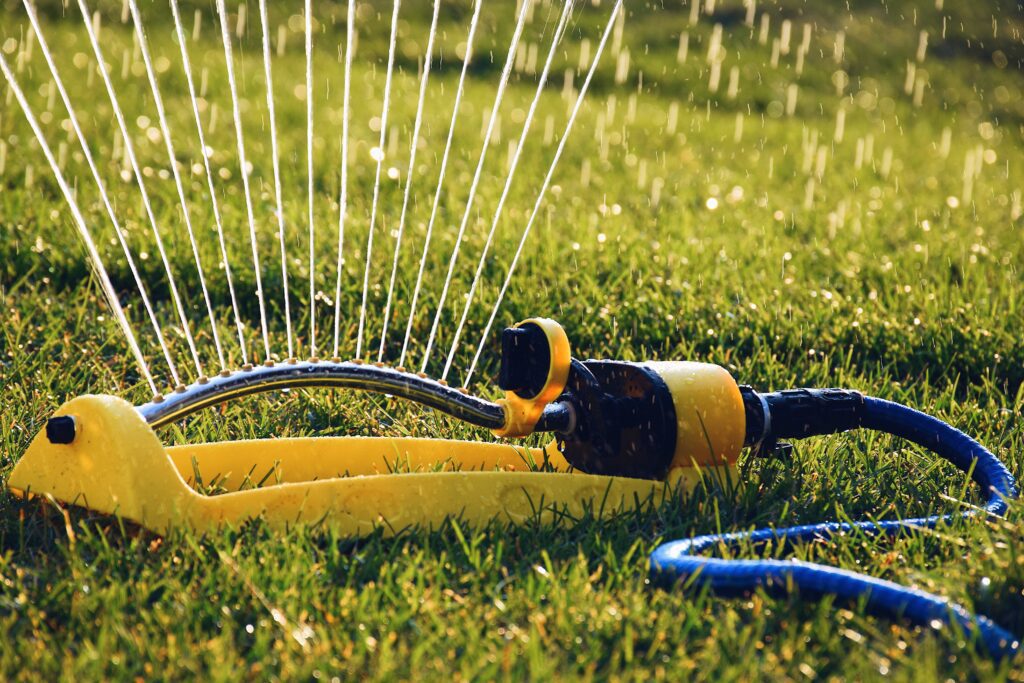 Lawn Watering Guidelines for Healthy Lawns