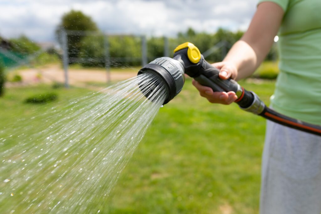 Should You Water the Lawn Before or After Mowing