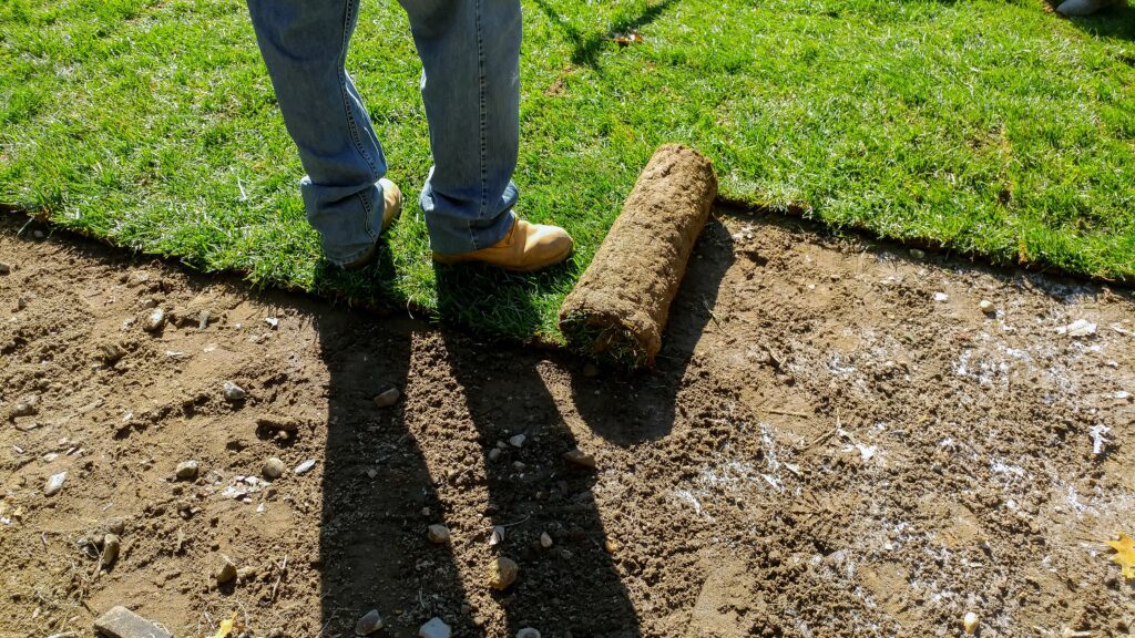 Best Time for Sod Grass Installation Tips for Success