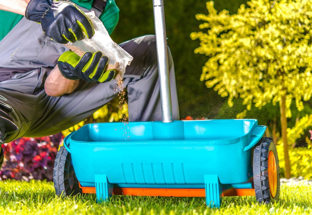 Best of Lawn Fertilizer During Spring- My Neighbor Services