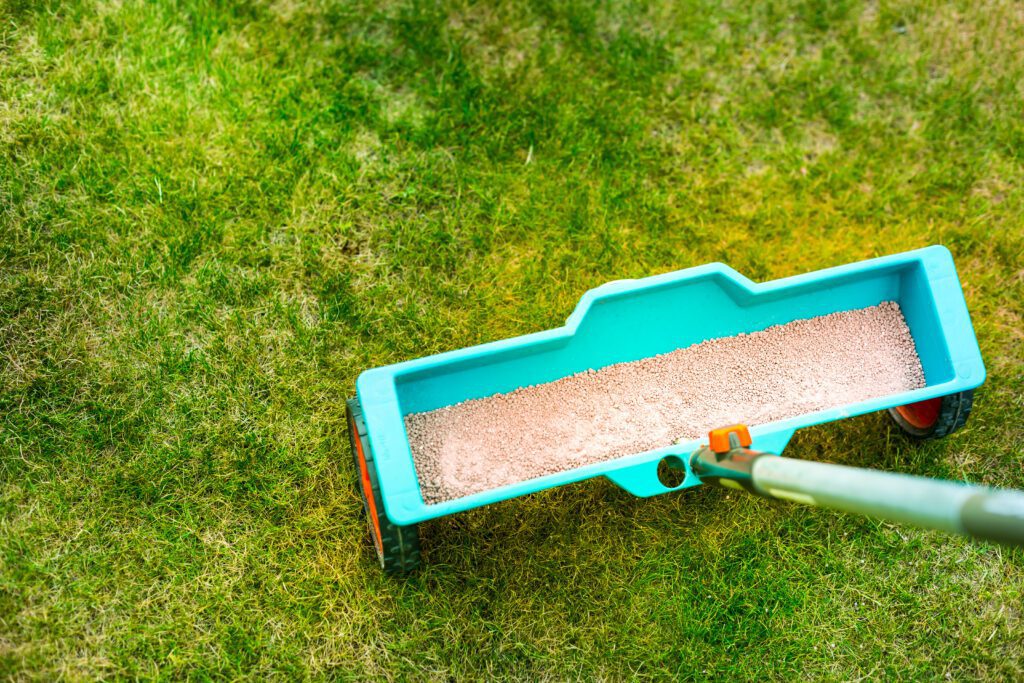 Healthy Lawn Care Tips From The Experts