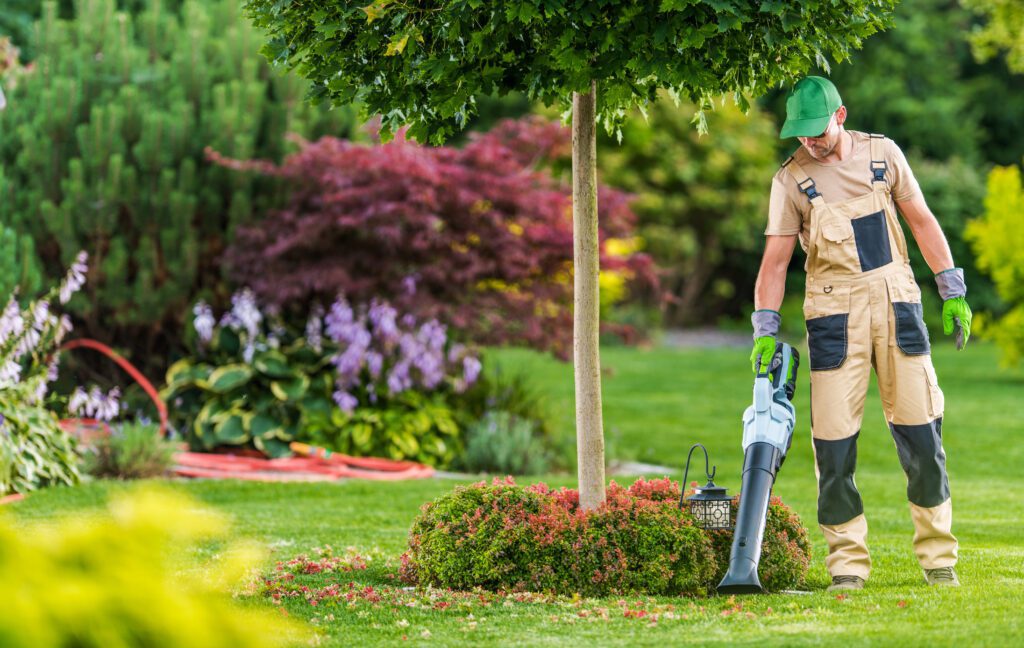 How to Maintain a Healthy Lawn and Garden