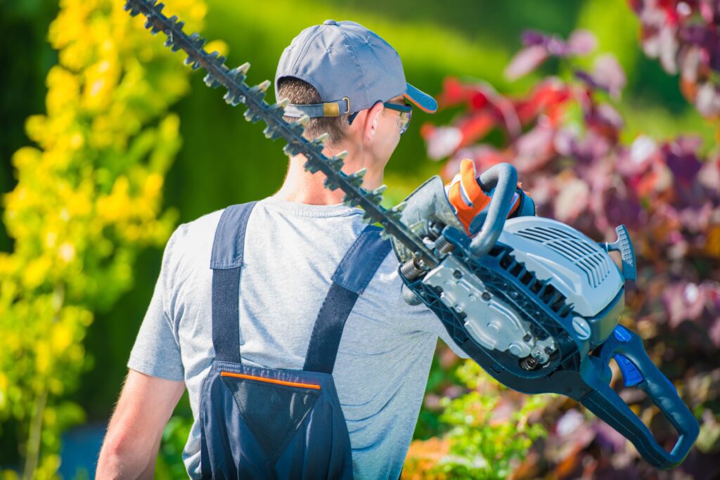 Trimming Your Yard with a Bush Trimmer