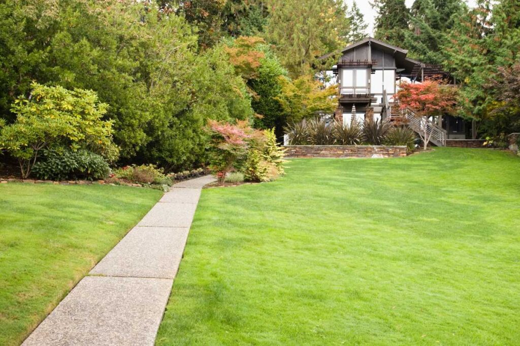Mow Your Lawn 101 The Basics of Making a Lawn Perfect