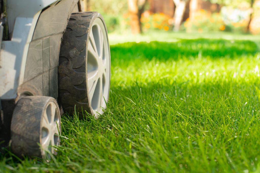 5 Ways To Maintain Your Lawn Without Damaging It