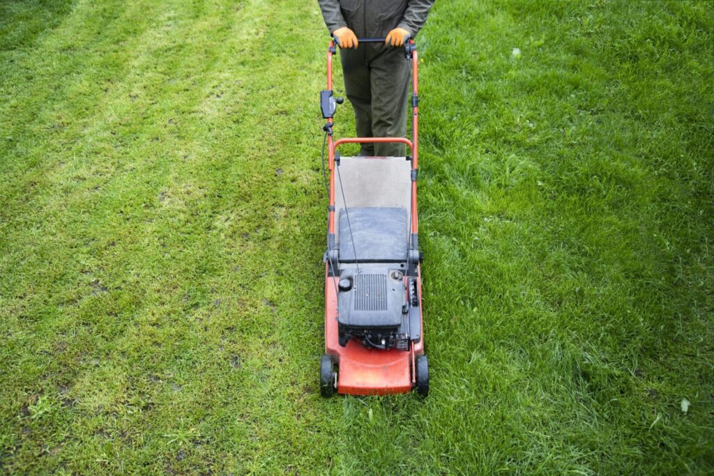 Tips For Consistently Clean & Well-Maintained Grass