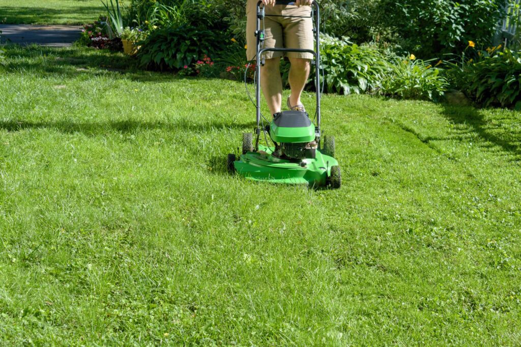5 Tips For Improving Lawn Care