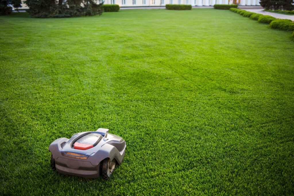 5 Tips For Maintaining A Healthy Lawn Area In The Heat