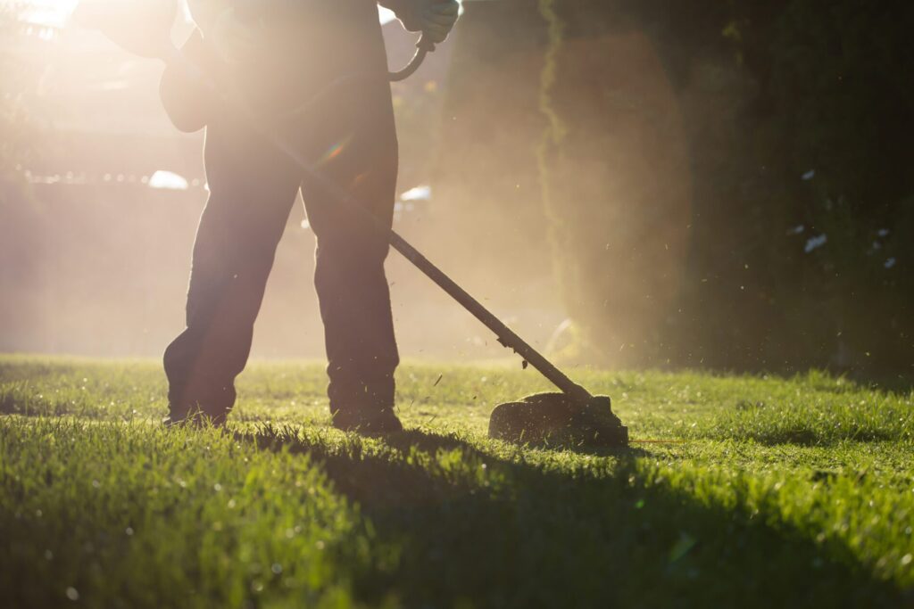 5 Ways To Keep Your Lawn Area Healthy This Summer