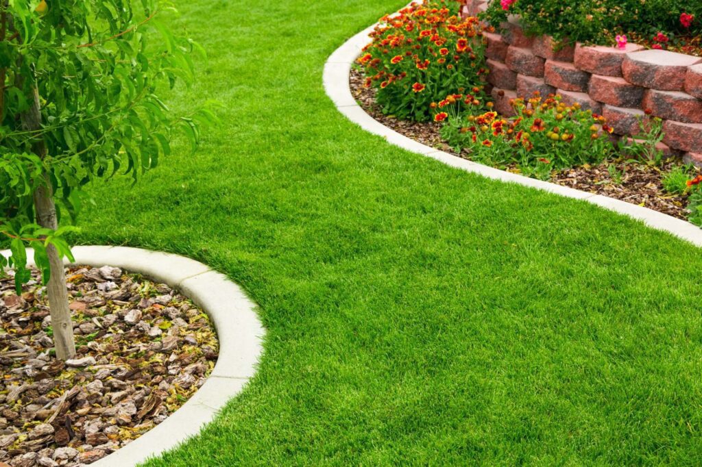 Amazing Lawn Tips For A Beautiful, Tidy And Healthy Lawn
