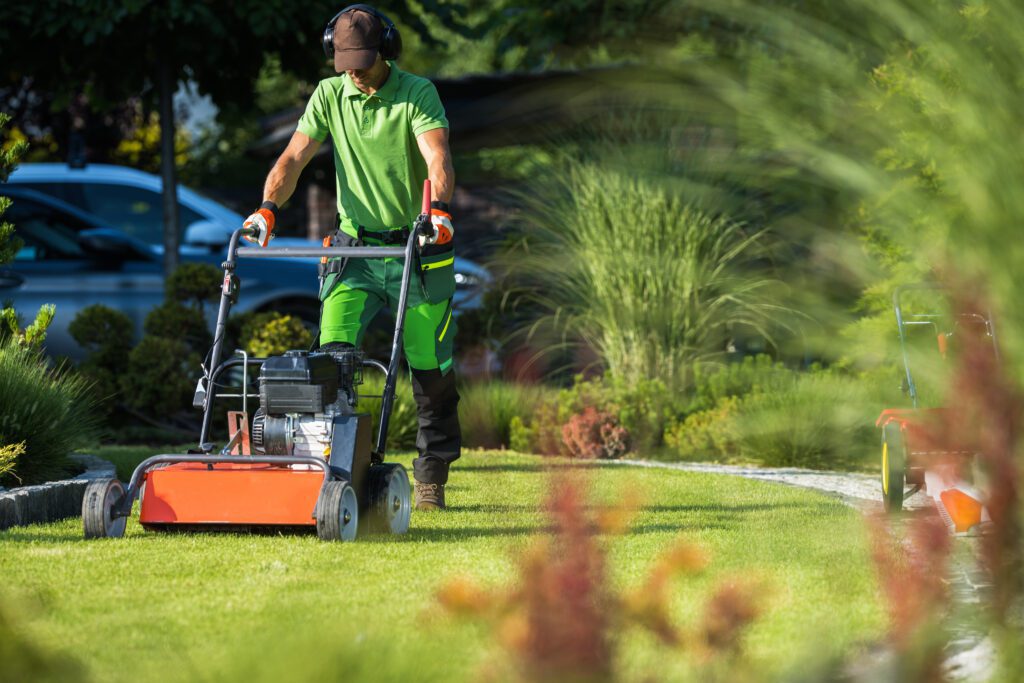 The Value Of Professional Lawn Care