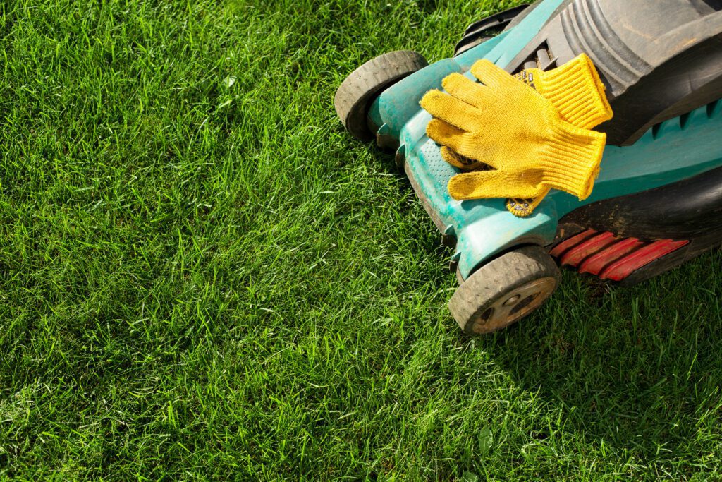 10 Easy Lawn Care Tips To Help You Keep Your Yard In Good Shape