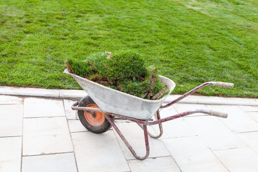 10 Reasons To Call Us Right Now For A Lawn Restoration