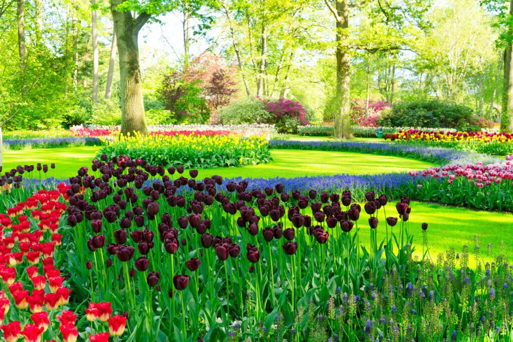 7 Expert Tips To Keep Your Lawn Elegant