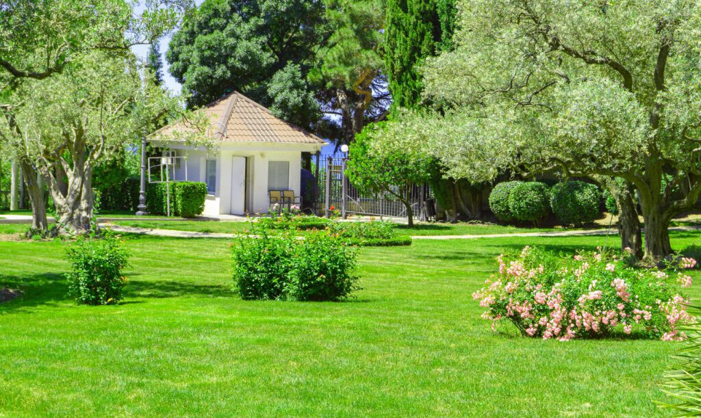 8 Tips For How To Take Care Of Your Beautiful Lawn Like A Pro