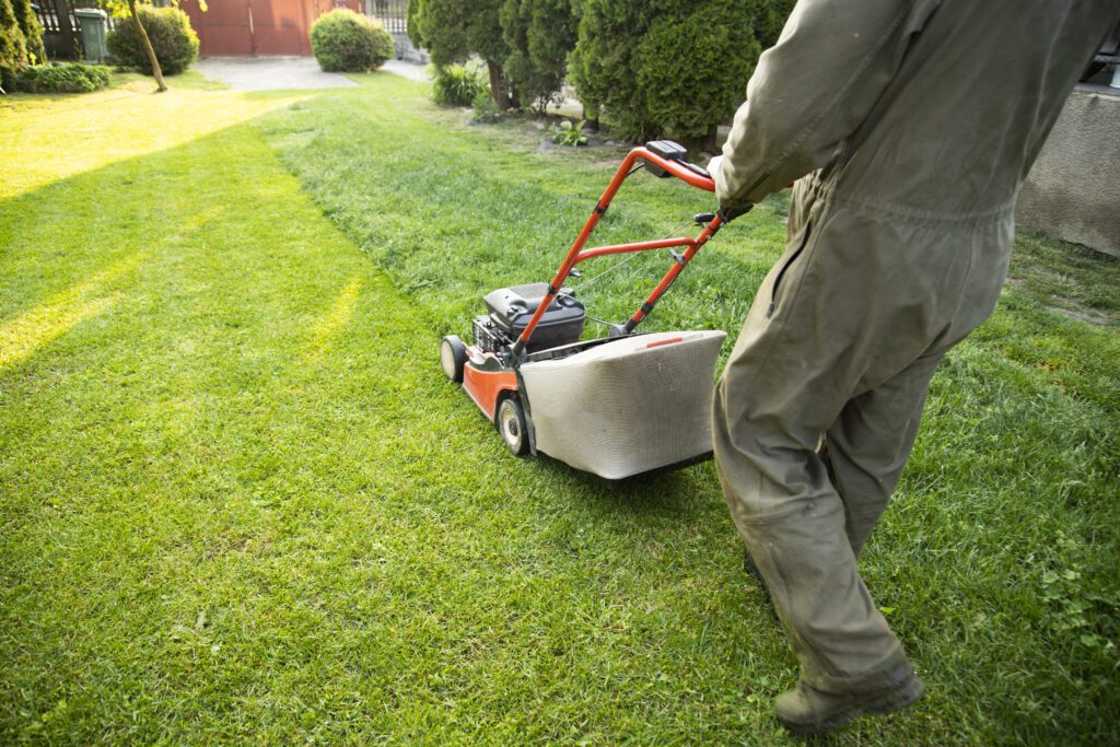 Do You Need Lawn Care Services For Your Home?