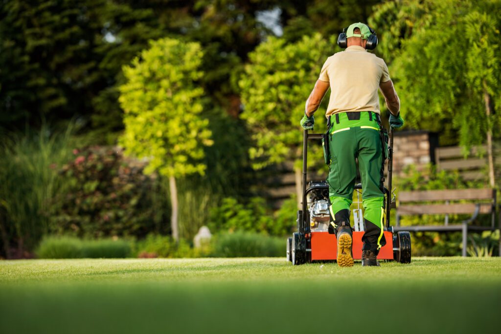5 Signs That You Should Call Your Lawn Care Company in Allen TX
