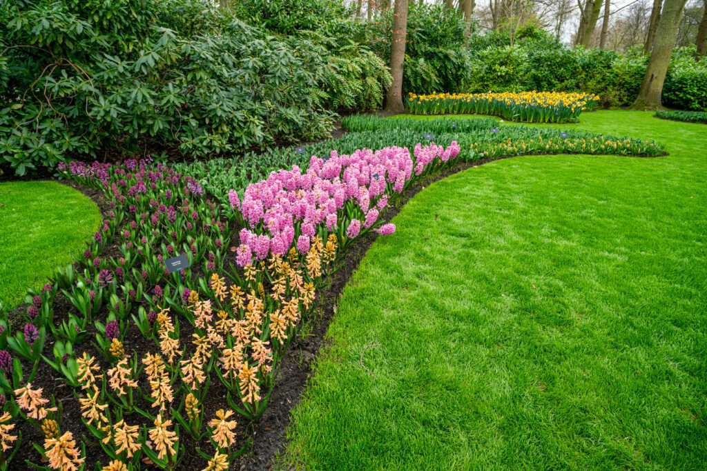 Lawn Care The Lowdown On Lawns And Landscaping