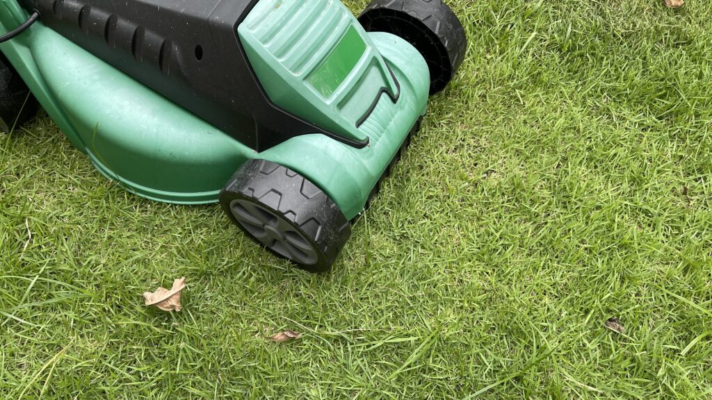 Making The Decision To Hire A Professional Lawn Care Services