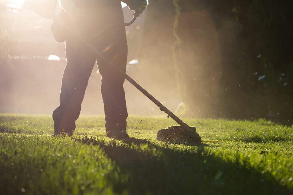 The Benefits of Hiring A Lawn Company