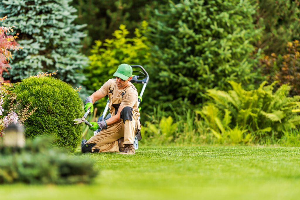 The Top 7 Landscaping Tips That You Can't Afford To Miss