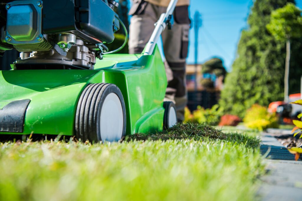 Why You Should Always Hire A Professional Lawn Care Company