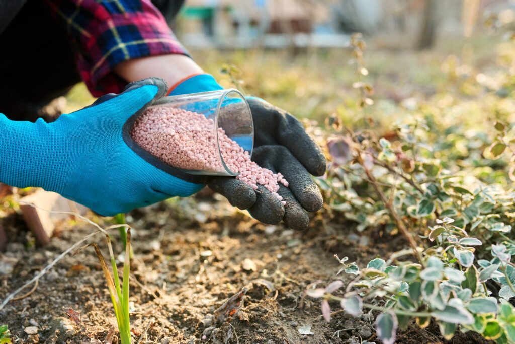 7 Fertilizer Terms You Should Understand