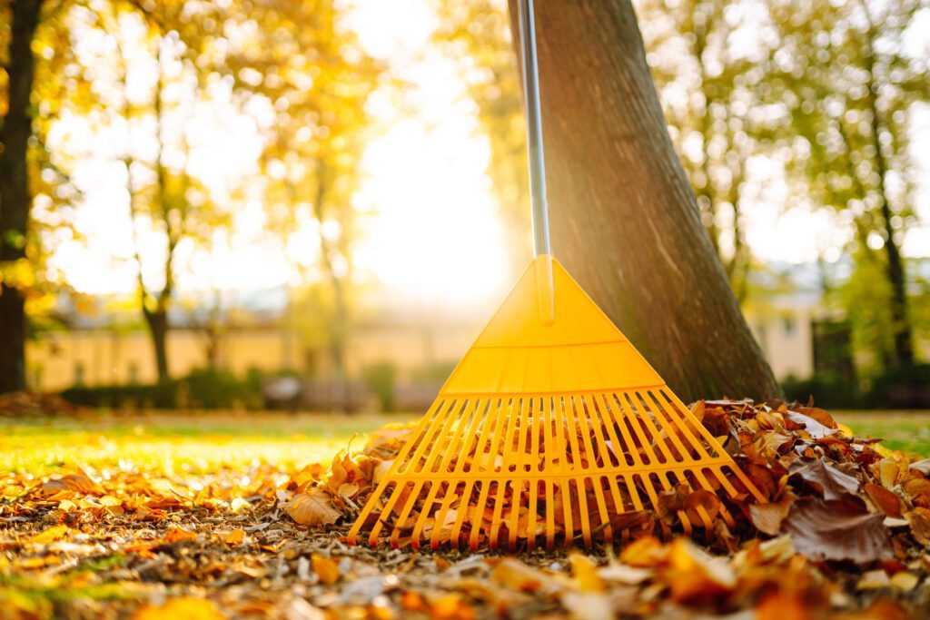 Fall Lawn Clean Up To Keep Your Yard Looking Great