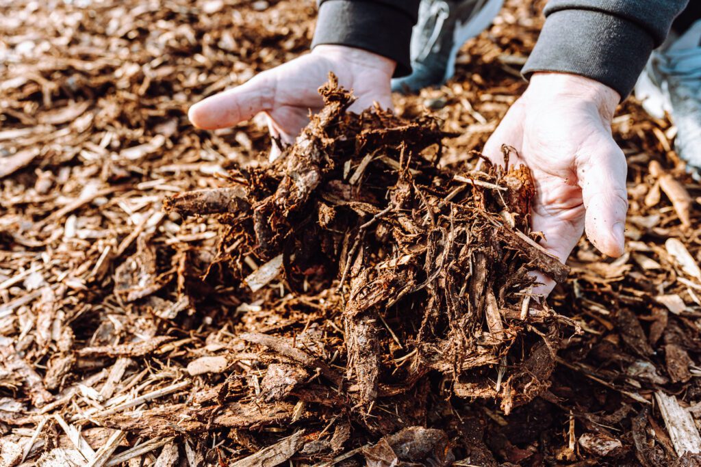 Everything You Need To Know About Choosing The Right Mulch For Your Garden