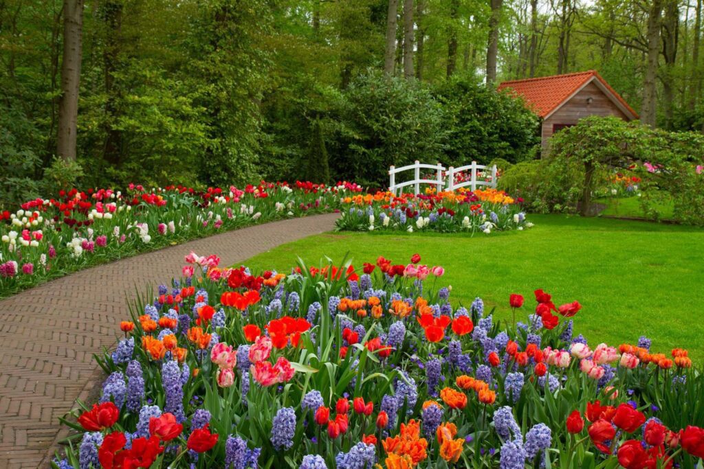 Flower Bed Ideas And Designs For Your Home Or Garden