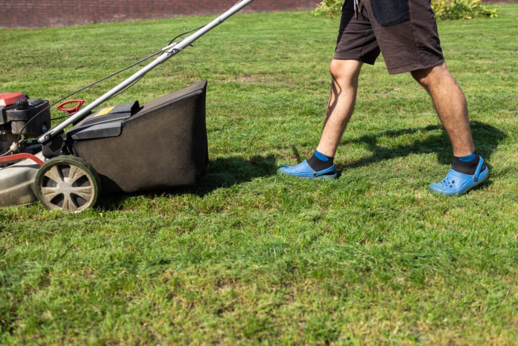 Mowing Your Lawn: When Is The Best Time To Do It?