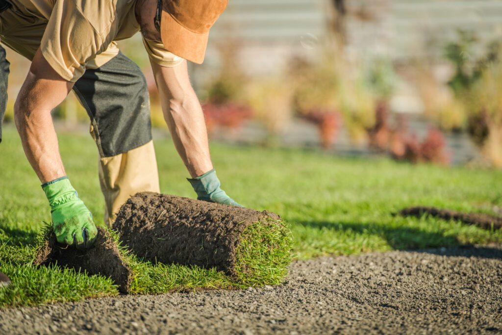 Sod Installation: 3 Reasons On Your Lawn For A Greener, Healthier Yard