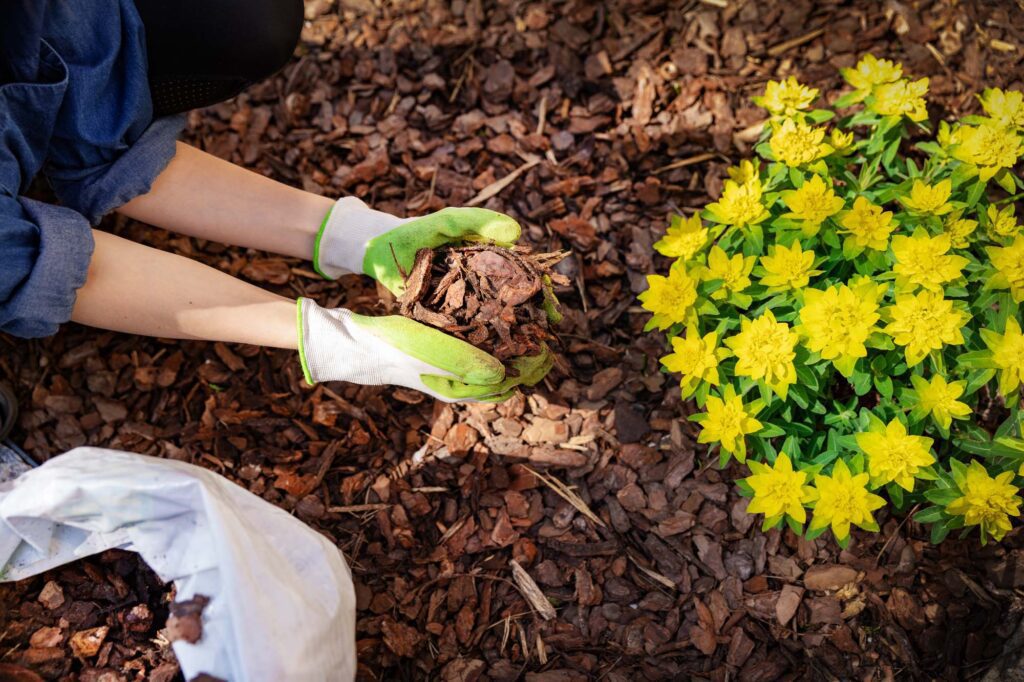 The Benefits of Mulching Services: Why Every Garden Needs It