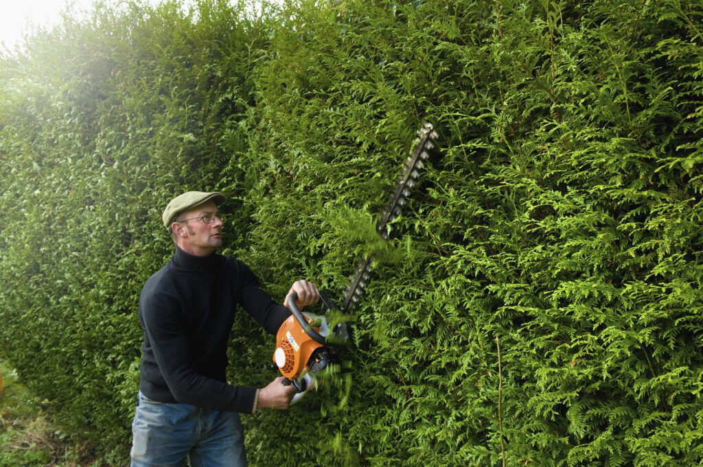 Things To Consider Before Choosing A Hedge Trimmer For Your Garden