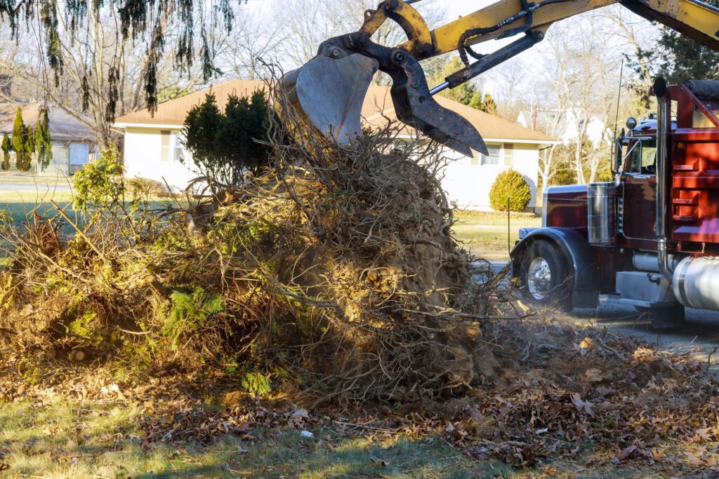 4 Reasons Why Professional Tree Service is Essential for Your Home