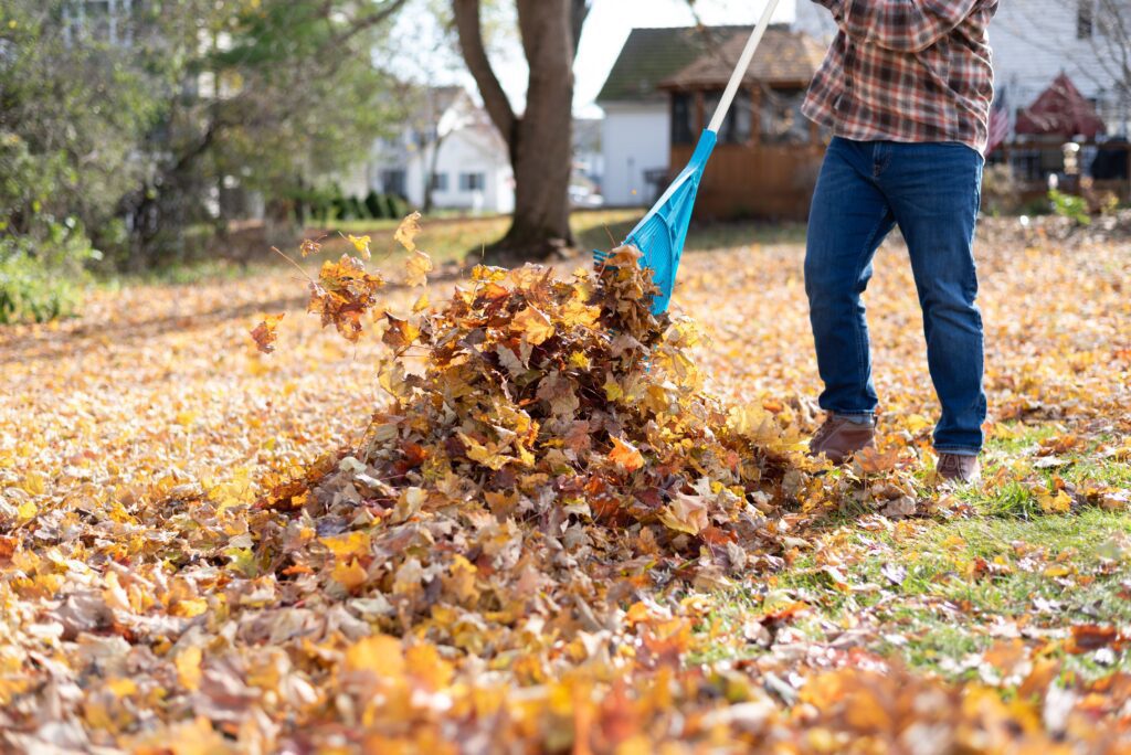 How To Find The Best Leaf Raking Service In Your Area