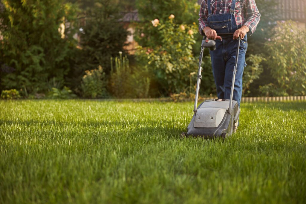 Long-Term Lawn Care: Advice from Experienced Gardeners