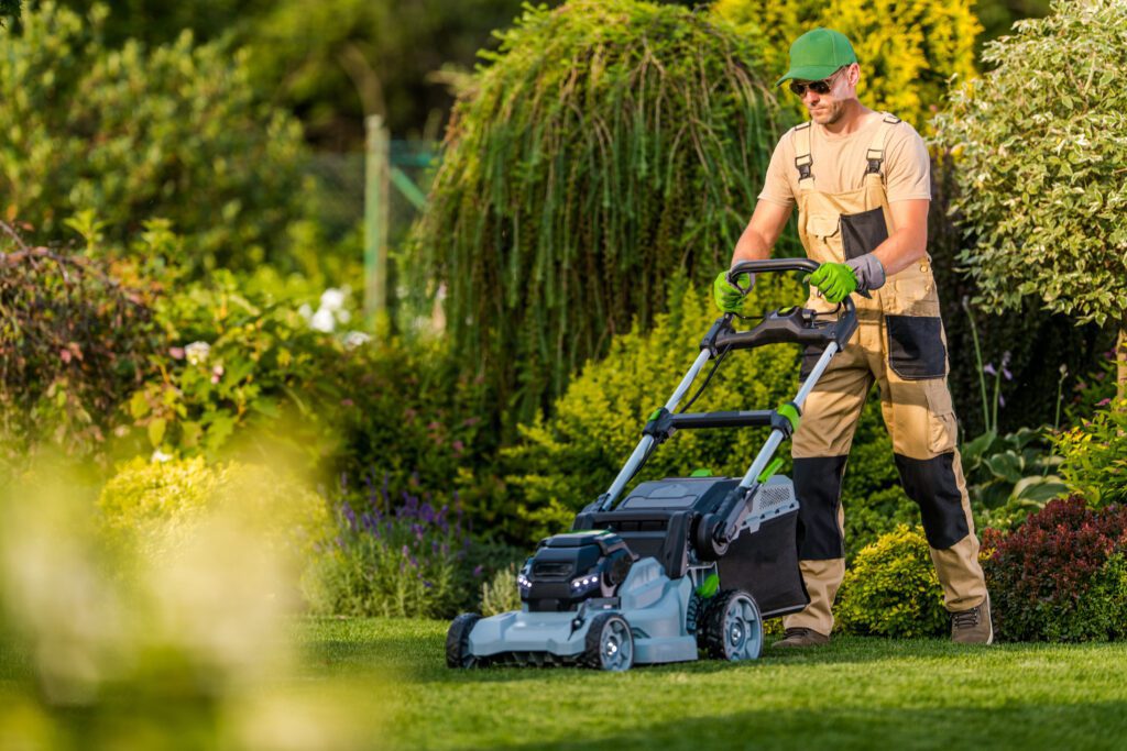 Top 7 Lawn Mowing Services to Keep Your Yard Looking Fresh