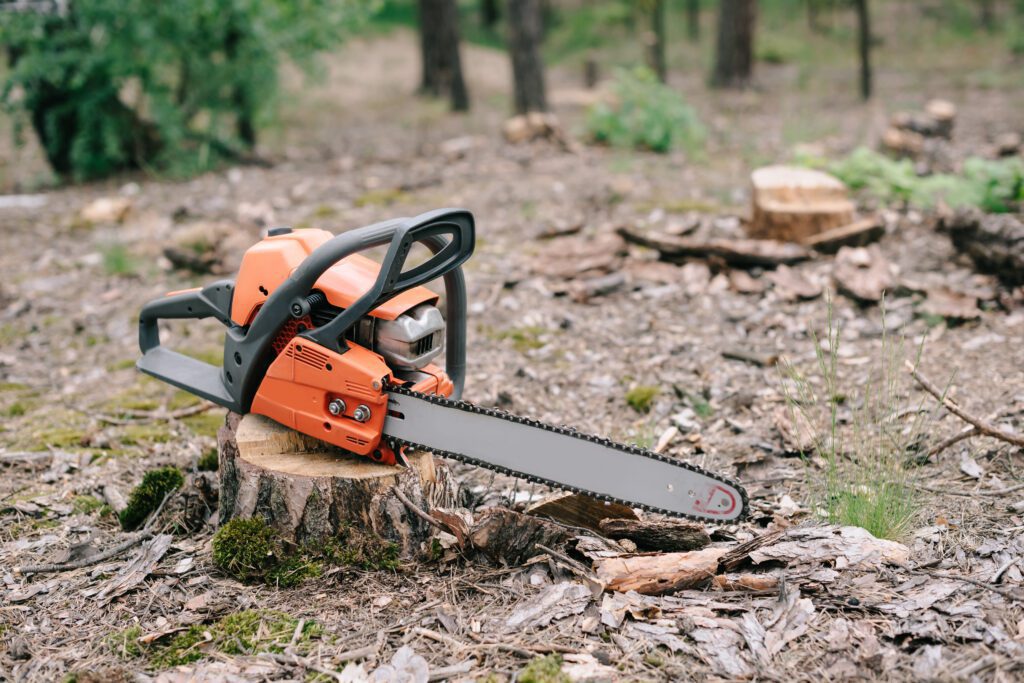 Stump Removal Cost: Variables that Impact the Price