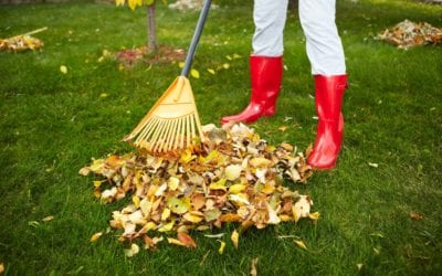 Best Deep Leaf Clean-Up Service in Texas - My Neighbor Services