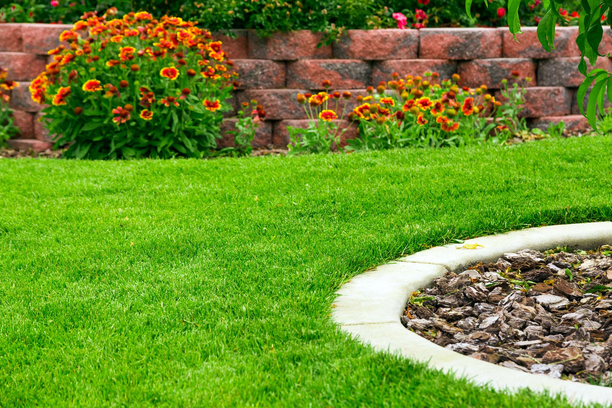 Best Landscaping Company in Fairview, Texas - My Neighbor Services