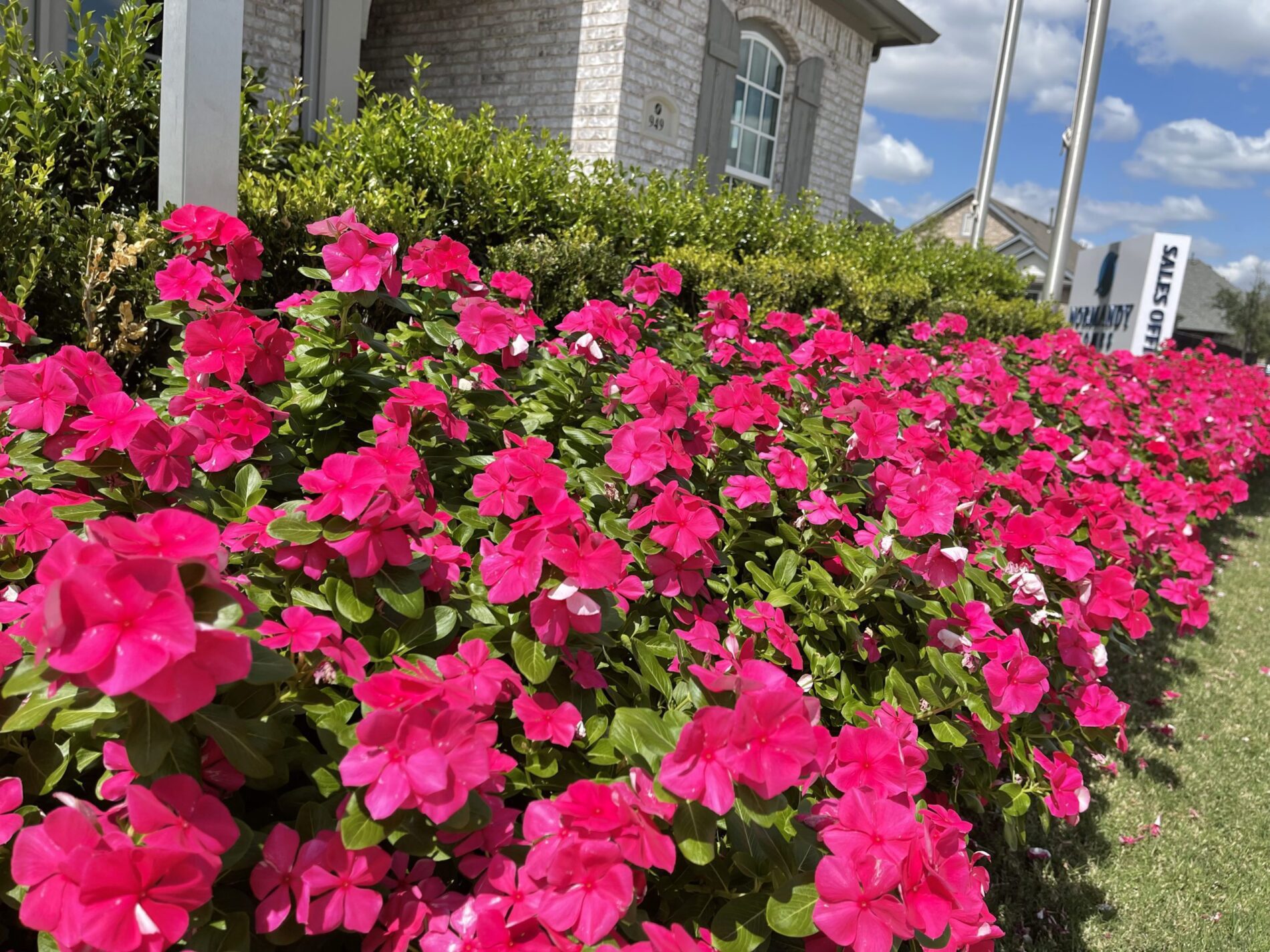 Best Landscaping Company in Sachse, Texas - My Neighbor Services