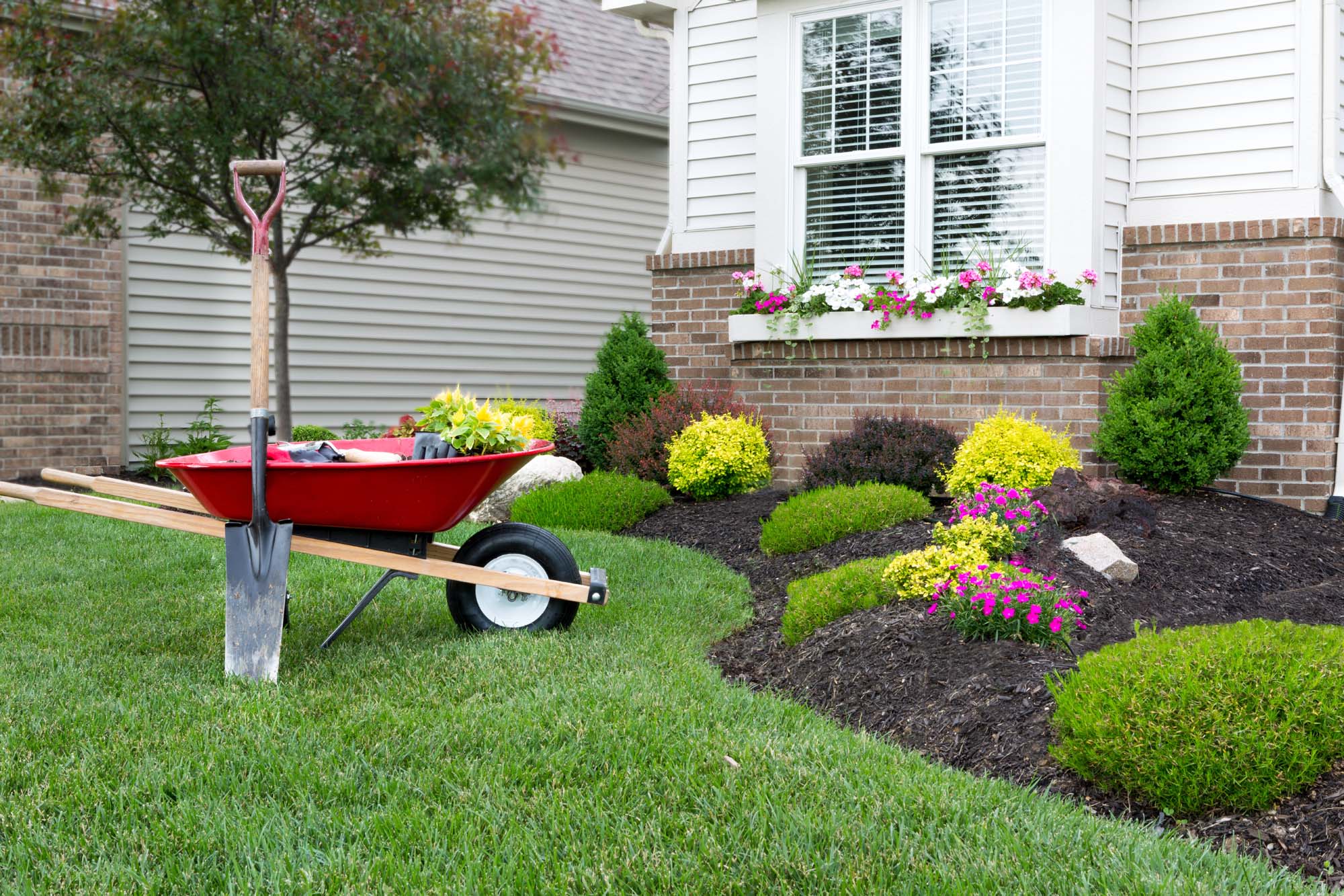 Best Landscaping in Frisco Texas - My Neighbor Services