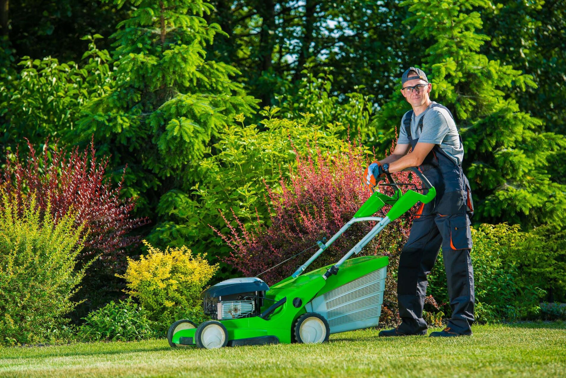 Lawn Care Services Allen TX - My Neighbor Services