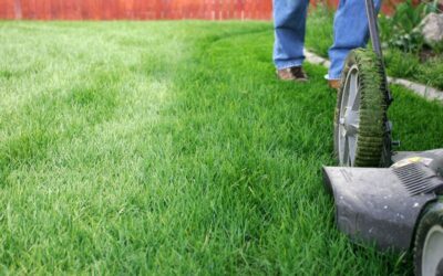 Mow Now, Wow Later: Why Professional Lawn Mowing in Allen TX Are Worth Every Penny!