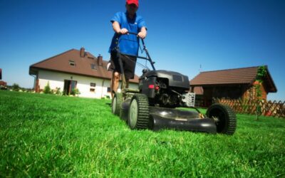 The Art of Precision: Why You Need Professional Lawn Mowing Service in Plano TX