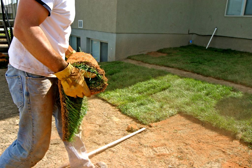 5 Secrets Only the Best Commercial Landscaping Company in Frisco TX Will Tell You