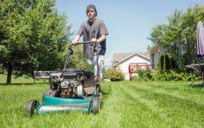 5 Surefire Signs It’s Time to Call a Professional Lawn Mowing Service in Allen TX
