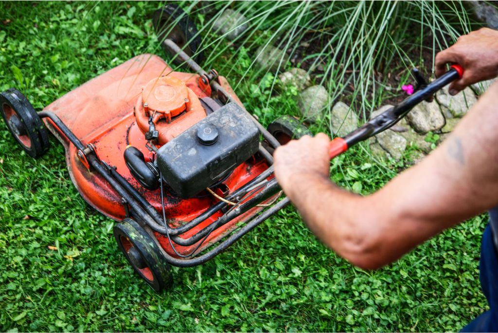 Deciphered 7 Vital Questions to Ask Before Investing in Commercial Lawn Service in Murphy TX